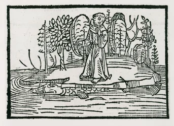 St. Brendan på fiskön, illustration från 